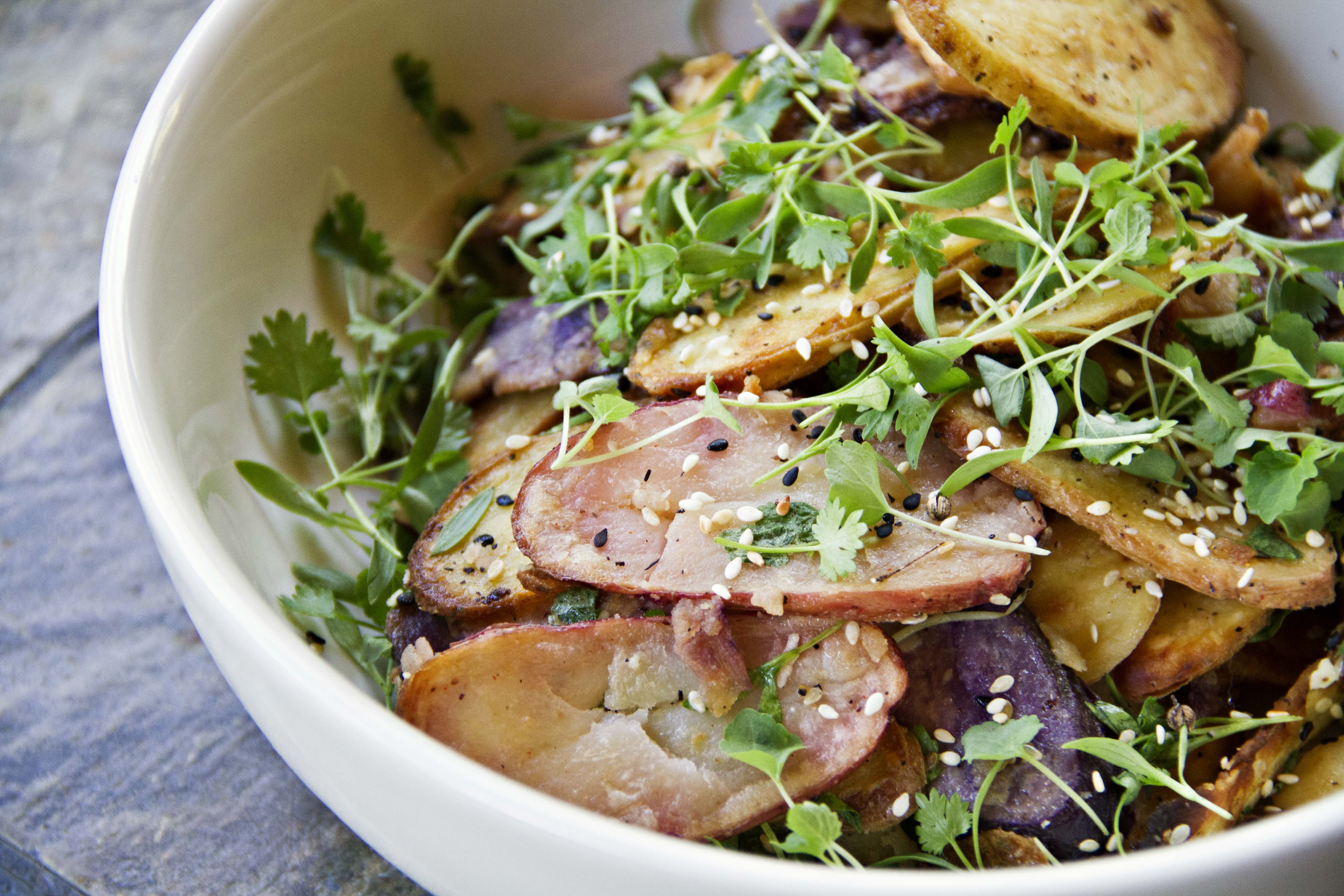 Everything You Will Ever Need To Build an Amazing Website